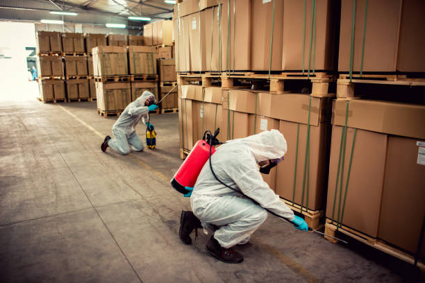 Wasp Removal Services in Inola, OK