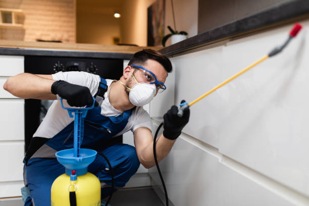 Best Best Pest Control Companies  in Inola, OK