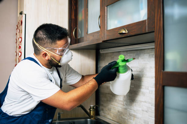 Best Flea Control Services  in Inola, OK