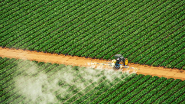Best Termite Control Services  in Inola, OK
