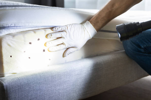 Best Commercial Pest Control Services  in Inola, OK