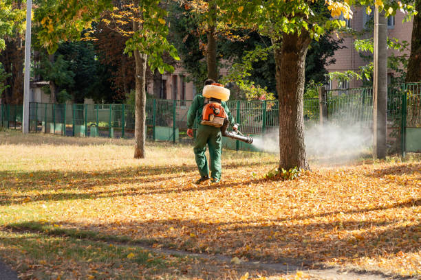 Wildlife Control Services in Inola, OK