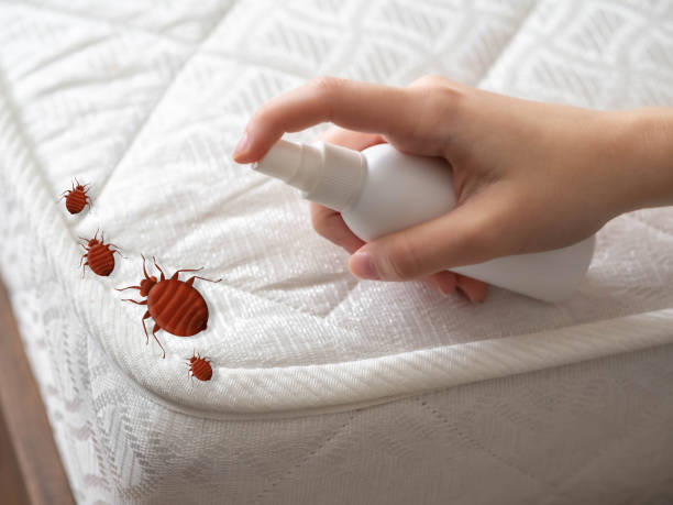 Insect Control in Inola, OK