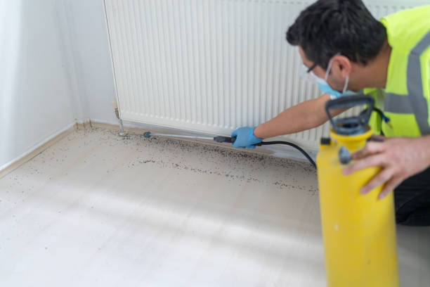 Best Cockroach Control Services  in Inola, OK